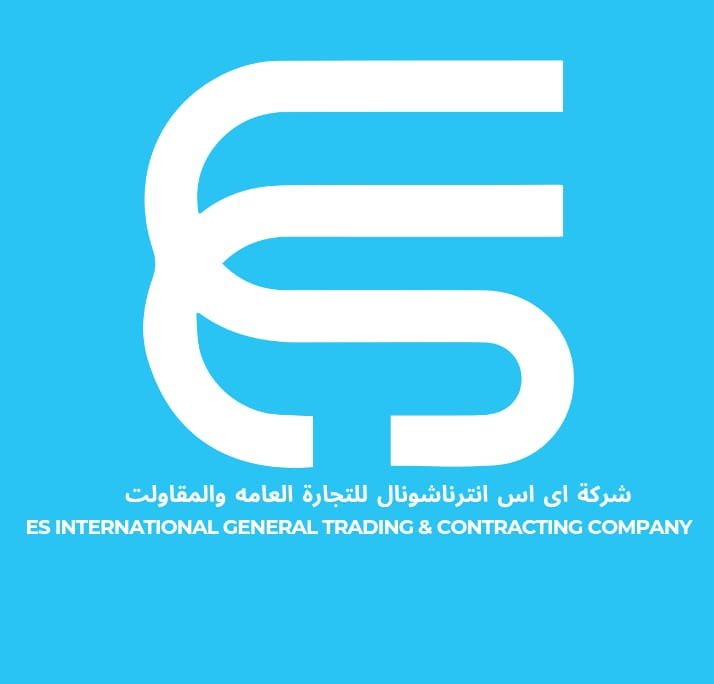 ES INTERNATIONAL Logo